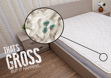 How To Get Rid Of Dustmites, dustmites in mattress 