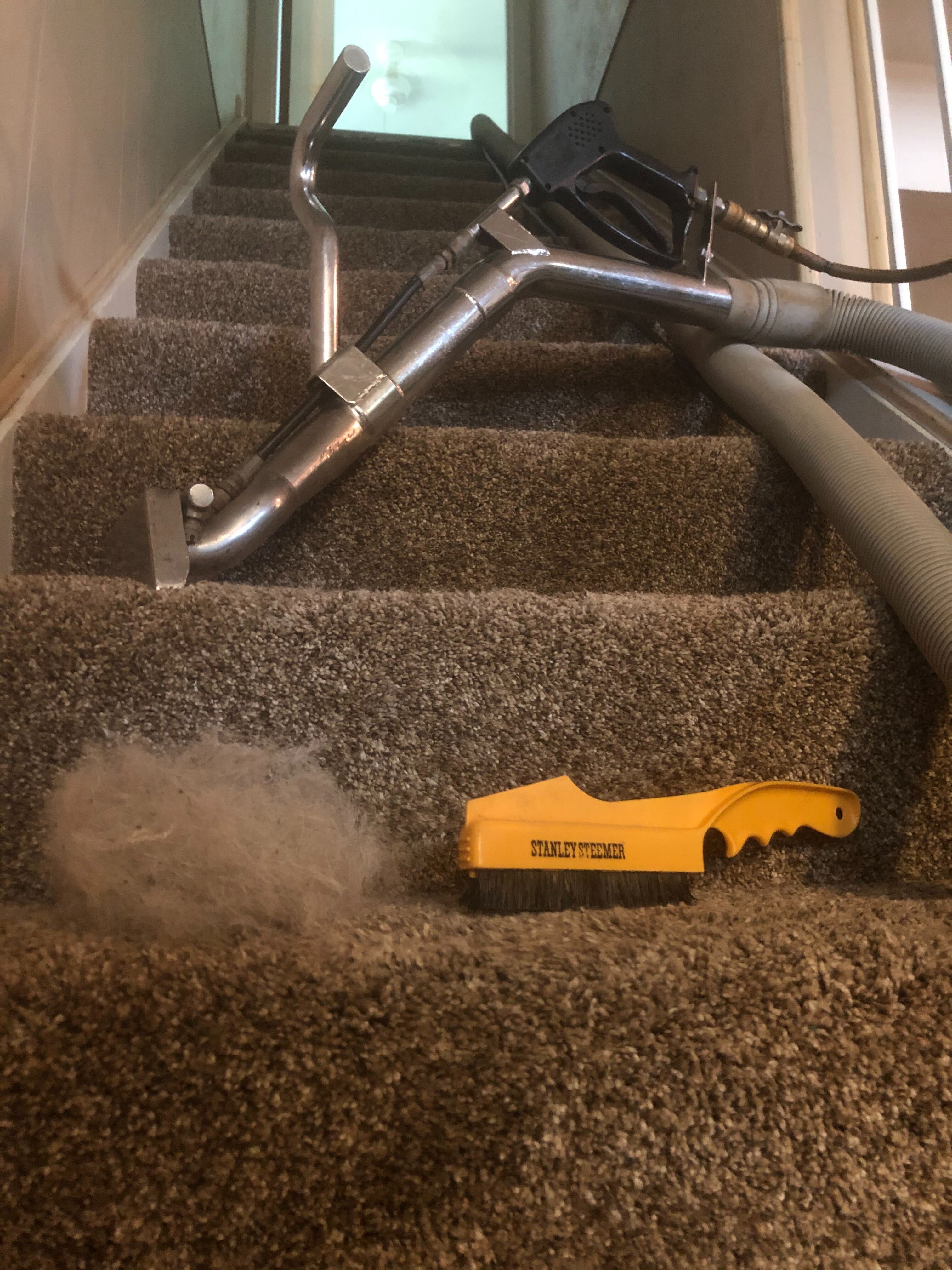 Cleaning up hair on stair carpeting