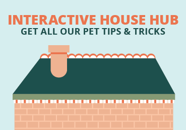 Text: Interactive House Hub - Get all our pet tips and tricks