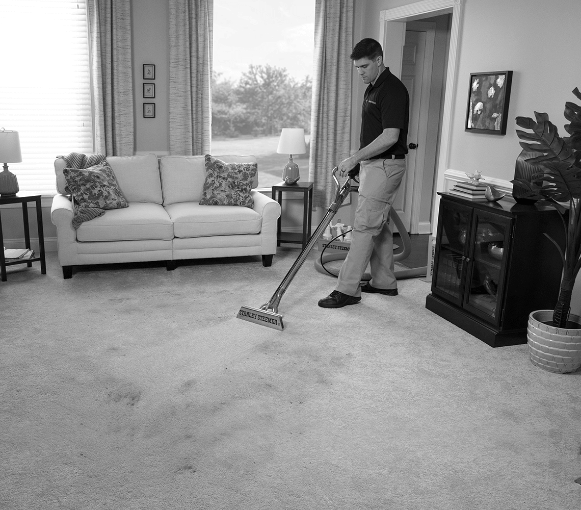 Stanley Steemer Carpet Cleaning