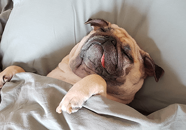 How To Remove Urine Stains From Mattress
