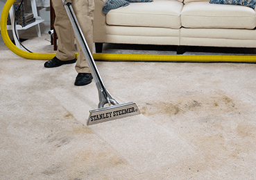 Stanley Steemer deep cleaning a dark stain on light colored carpet