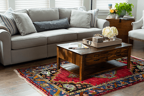 Natural light in living room with oriental rug