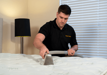 Steam cleaning a mattress