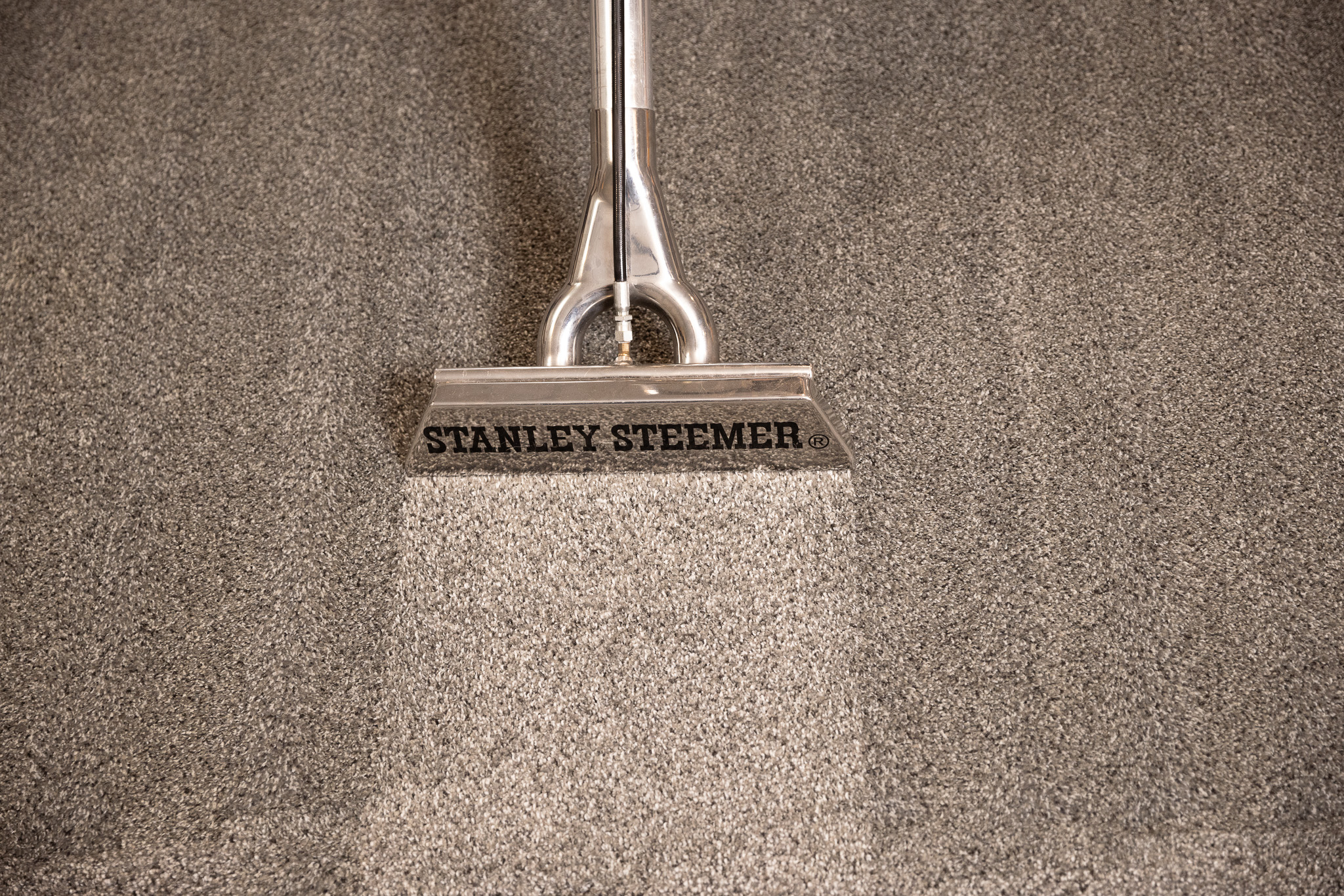 stanley steemer wand cleaning tan carpet