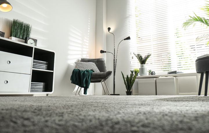 Carpeted floor in a home living space