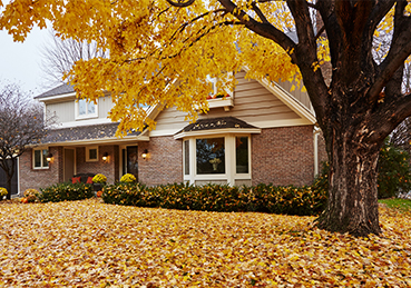 Outside of home with fall foliage